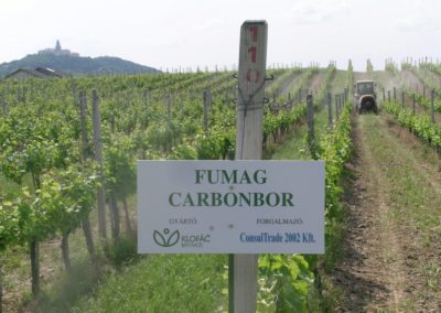 Carbonbor és Fumag lombtrágya kezelés referencia partnerünknél, Pannonhalma